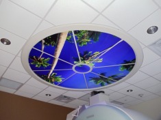 MEDICAL MURALS, LLC 